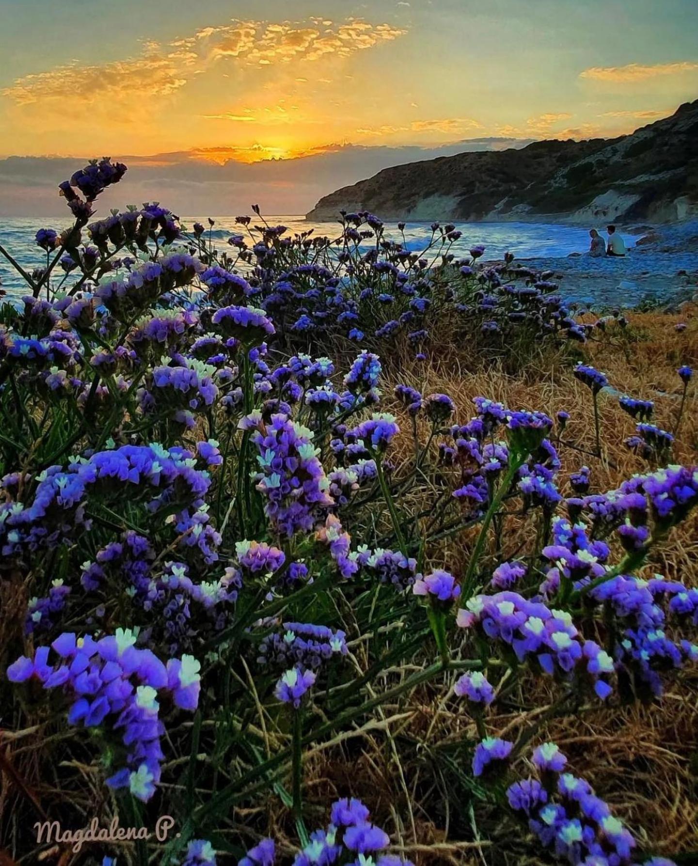 الشقق الفندقية Governors Beach Panayiotis المظهر الخارجي الصورة